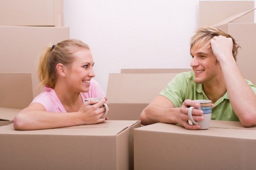 Inclusive website access for Removals to Germany users