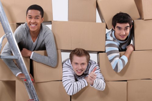 Boxes and furniture being loaded into a removal van in Togermany