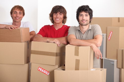 Essential cookies and website performance overview for Removals Togermany